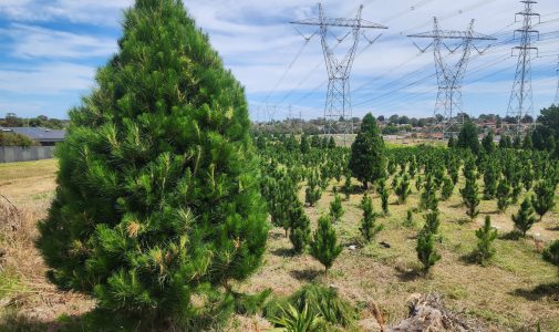 one to seven year olds