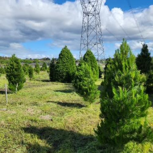 narre warren 3 nov new website images 032